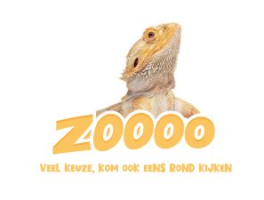 Een geelkleurig reptiel met daaronder een slogan van Duponzoo: 'ZOOOO veel keuze! Kom ook eens rond kijken.
