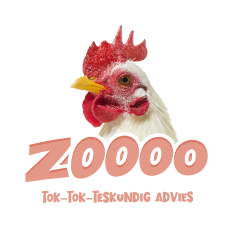 Een close-up van een kip met daaronder een slogan van Duponzoo: 'ZOOOO tok-tok-teskundig advies'